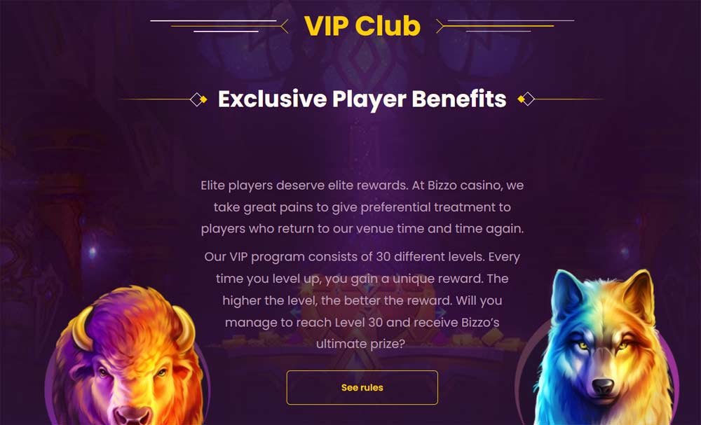 Bizzo VIP program