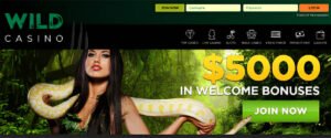 $10000 TOURNAMENT WILD CASINO